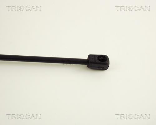 Vérin (Vérin de hayon) Triscan A/S 8710 38203