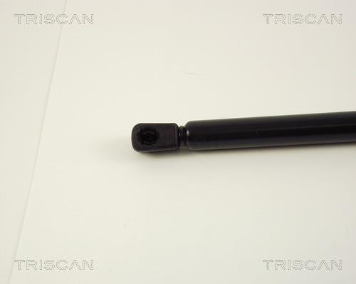 Vérin (Vérin de hayon) Triscan A/S ref. 8710 38204