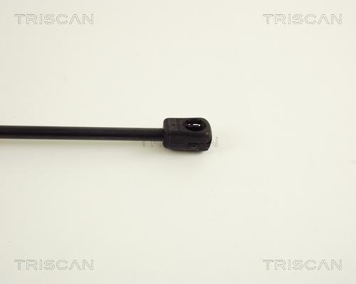 Vérin (Vérin de hayon) Triscan A/S ref. 8710 38204