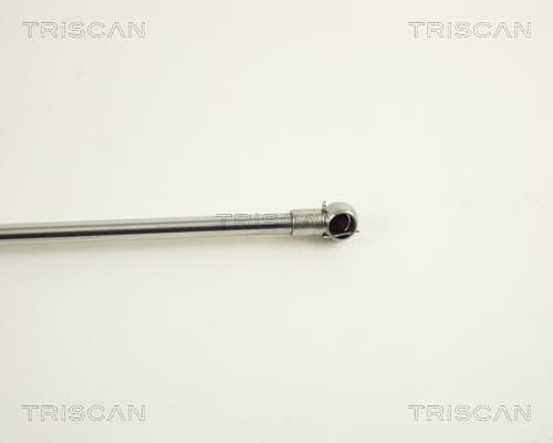 Vérin (Vérin de hayon) Triscan A/S ref. 8710 38207