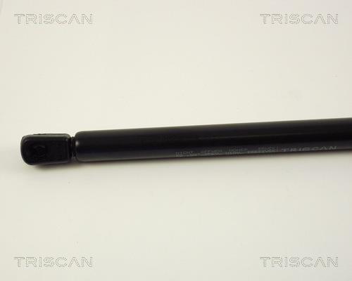 Vérin (Vérin de hayon) Triscan A/S 8710 38208