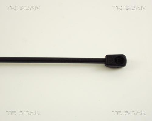 Vérin (Vérin de hayon) Triscan A/S 8710 38208