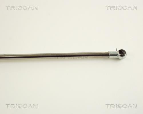 Vérin (Vérin de hayon) Triscan A/S ref. 8710 38211