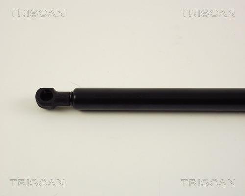 Vérin (Vérin de hayon) Triscan A/S ref. 8710 38212