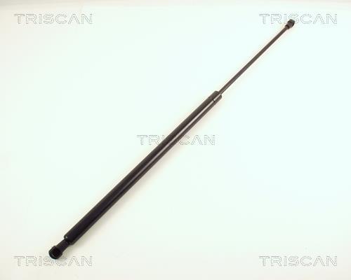Vérin (Vérin de hayon) Triscan A/S ref. 8710 38213