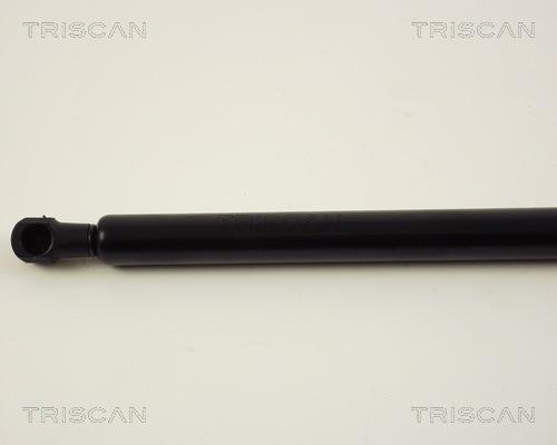Vérin (Vérin de hayon) Triscan A/S ref. 8710 38213