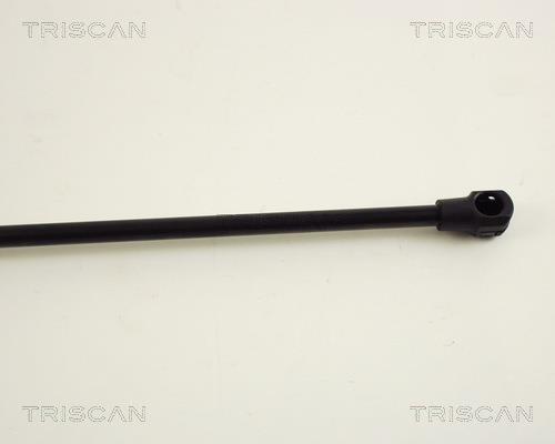 Vérin (Vérin de hayon) Triscan A/S ref. 8710 38213