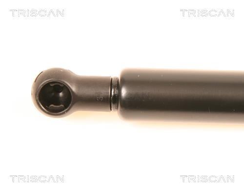 Vérin (Vérin de hayon) Triscan A/S 8710 38214