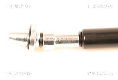 Vérin (Vérin de hayon) Triscan A/S ref. 8710 38217