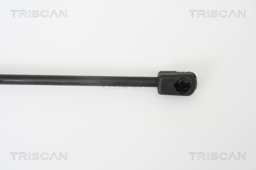 Vérin (Vérin de hayon) Triscan A/S ref. 8710 38218