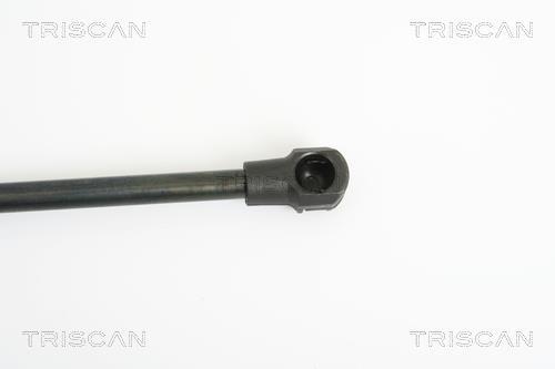 Vérin (Vérin de hayon) Triscan A/S ref. 8710 38220