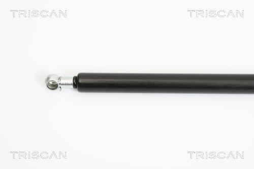 Vérin (Vérin de hayon) Triscan A/S 8710 38221