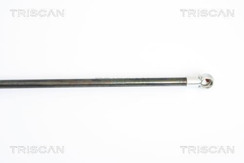 Vérin (Vérin de hayon) Triscan A/S 8710 38221