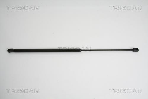 Vérin (Vérin de hayon) Triscan A/S ref. 8710 38222