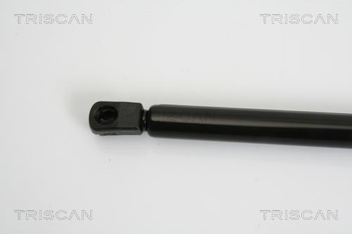 Vérin (Vérin de hayon) Triscan A/S ref. 8710 38222