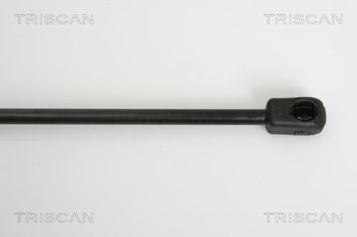 Vérin (Vérin de hayon) Triscan A/S ref. 8710 38222