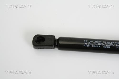 Vérin (Vérin de hayon) Triscan A/S 8710 38223