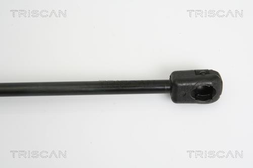 Vérin (Vérin de hayon) Triscan A/S 8710 38223