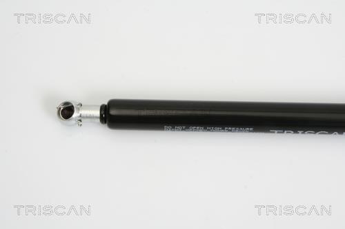Vérin (Vérin de hayon) Triscan A/S 8710 38224