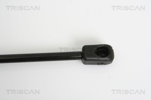 Vérin (Vérin de hayon) Triscan A/S 8710 38224