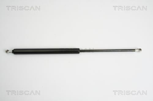 Vérin (Vérin de hayon) Triscan A/S ref. 8710 38225