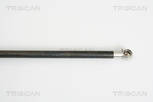 Vérin (Vérin de hayon) Triscan A/S ref. 8710 38225