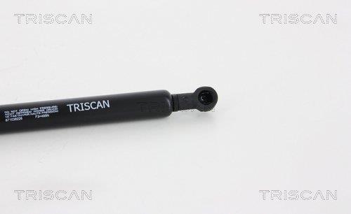 Vérin (Vérin de hayon) Triscan A/S 8710 38226
