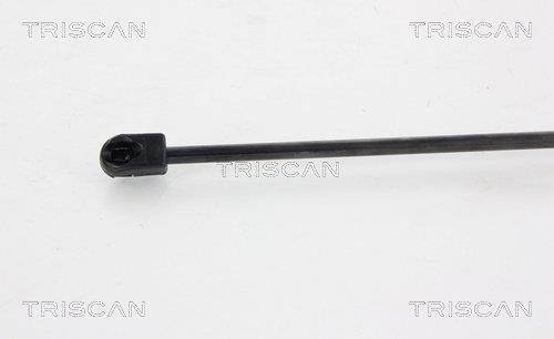 Vérin (Vérin de hayon) Triscan A/S 8710 38227