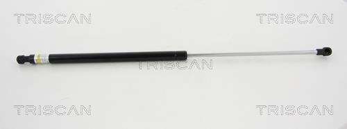 Vérin (Vérin de hayon) Triscan A/S 8710 38230
