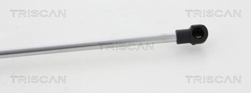 Vérin (Vérin de hayon) Triscan A/S 8710 38230