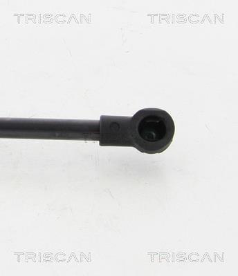 Vérin (Vérin de hayon) Triscan A/S ref. 8710 38231