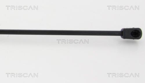 Vérin (Vérin de hayon) Triscan A/S ref. 8710 38234