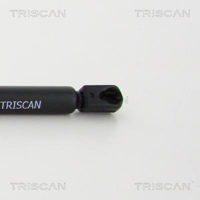 Vérin (Vérin de hayon) Triscan A/S 8710 38235
