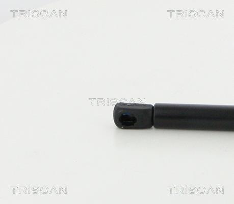 Vérin (Vérin de hayon) Triscan A/S ref. 8710 38246