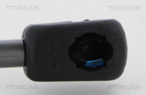 Vérin (Vérin de hayon) Triscan A/S ref. 8710 38246