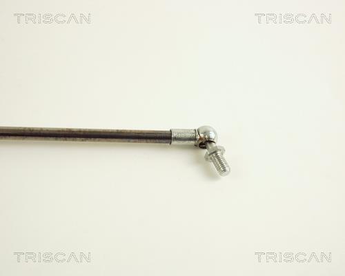 Vérin (Vérin de hayon) Triscan A/S 8710 40202