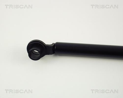 Vérin (Vérin de hayon) Triscan A/S 8710 40204