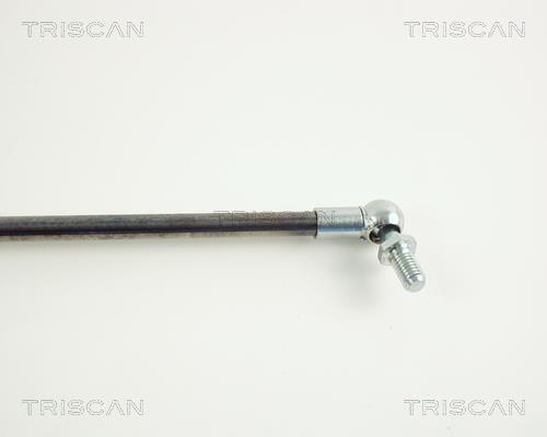 Vérin (Vérin de hayon) Triscan A/S 8710 40204