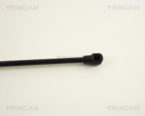 Vérin (Vérin de hayon) Triscan A/S 8710 40209