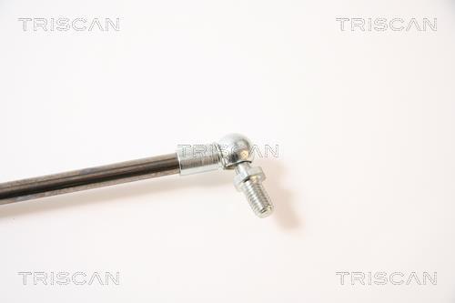 Vérin (Vérin de hayon) Triscan A/S 8710 40212
