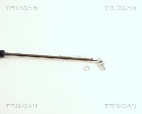 Vérin (Vérin de hayon) Triscan A/S 8710 40213