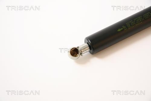 Vérin (Vérin de hayon) Triscan A/S 8710 40214