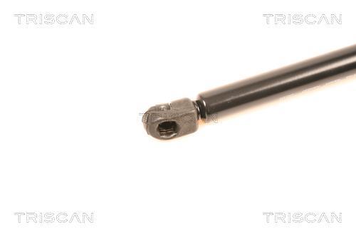 Vérin (Vérin de hayon) Triscan A/S 8710 40218