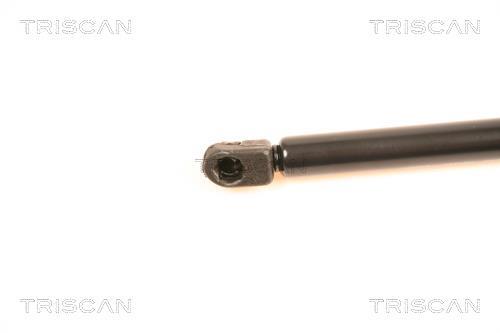 Vérin (Vérin de hayon) Triscan A/S 8710 40220