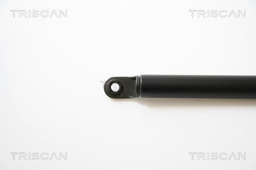 Vérin (Vérin de hayon) Triscan A/S 8710 40222