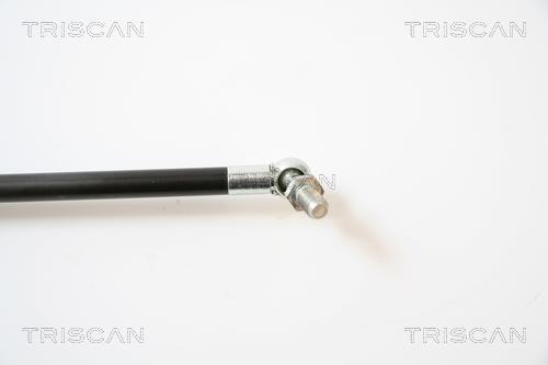 Vérin (Vérin de hayon) Triscan A/S 8710 40222