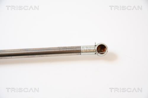 Vérin (Vérin de hayon) Triscan A/S 8710 40225