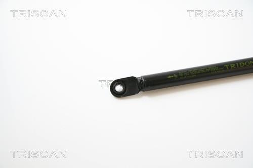 Vérin (Vérin de hayon) Triscan A/S 8710 40226