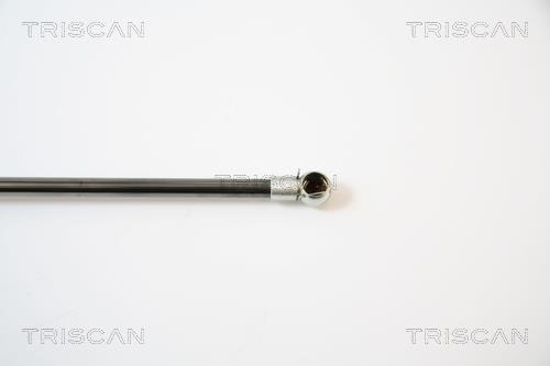 Vérin (Vérin de hayon) Triscan A/S 8710 40226