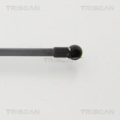 Vérin (Vérin de hayon) Triscan A/S 8710 40229